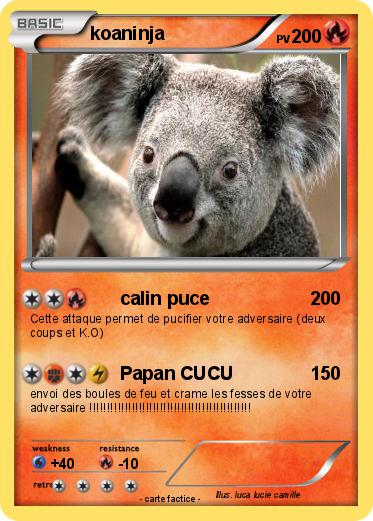 Pokemon koaninja