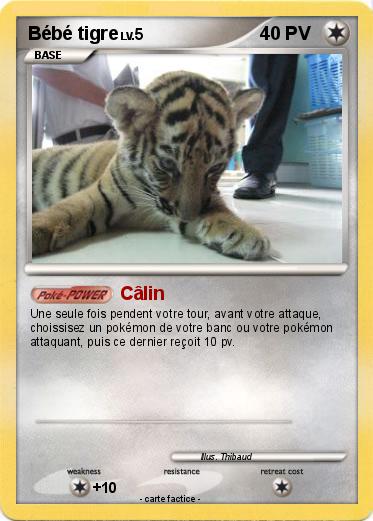 Pokemon Bébé tigre