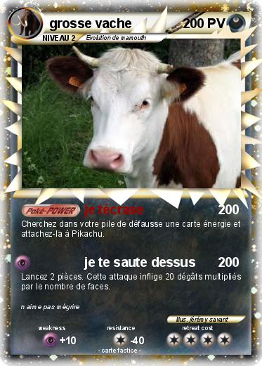 Pokemon grosse vache