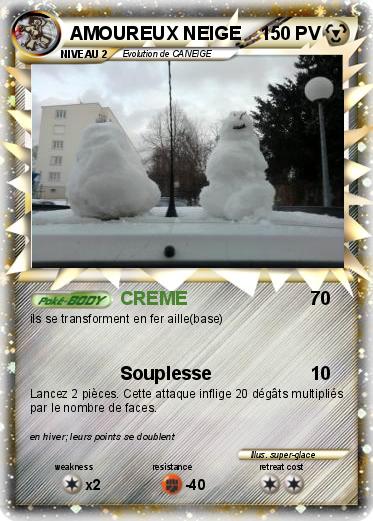 Pokemon AMOUREUX NEIGE