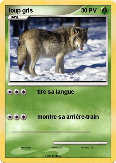 Pokemon loup gris