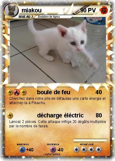Pokemon miakou