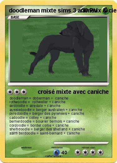 Pokemon doodleman mixte sims 3 animaux & cie