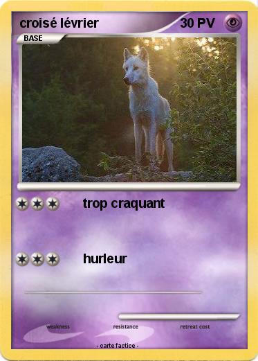 Pokemon croisé lévrier