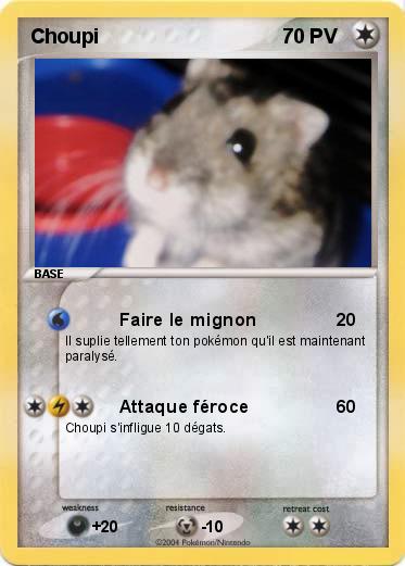 Pokemon Choupi