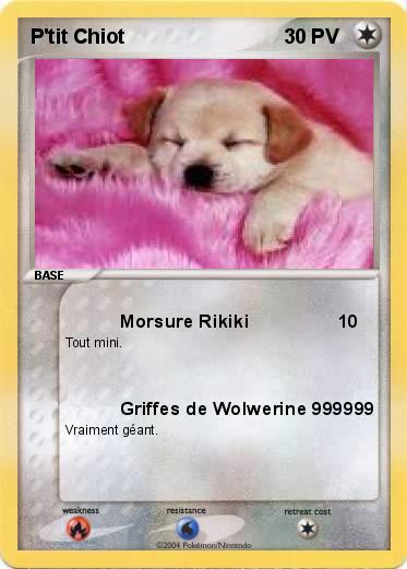 Pokemon P'tit Chiot