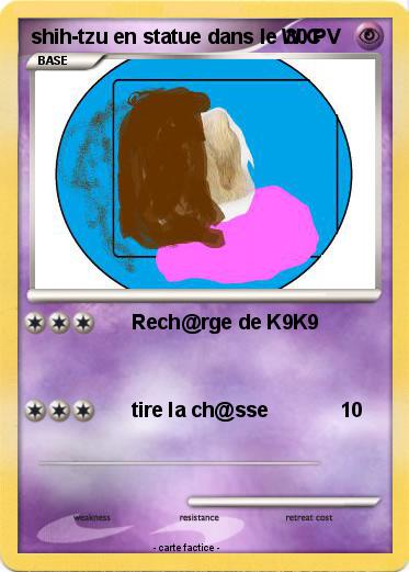Pokemon shih-tzu en statue dans le W.C