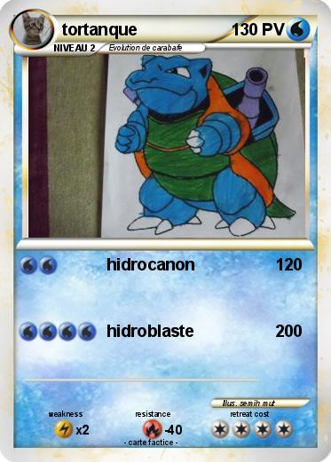 Pokemon tortanque