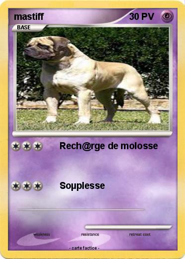 Pokemon mastiff