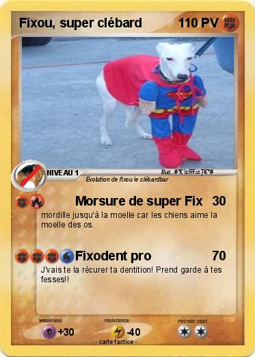Pokemon Fixou, super clébard
