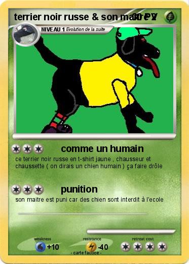 Pokemon terrier noir russe & son maitre 2