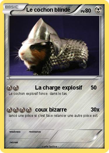 Pokemon Le cochon blindé