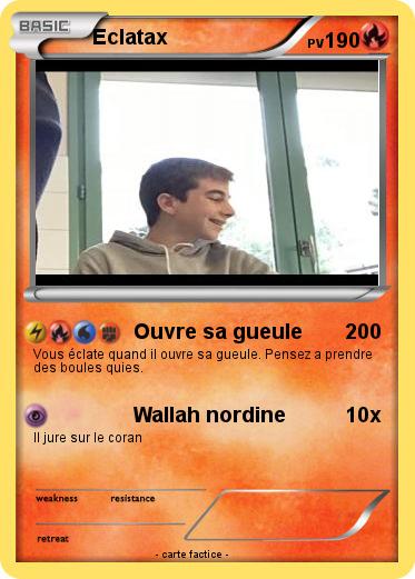 Pokemon Eclatax