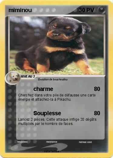 Pokemon miminou