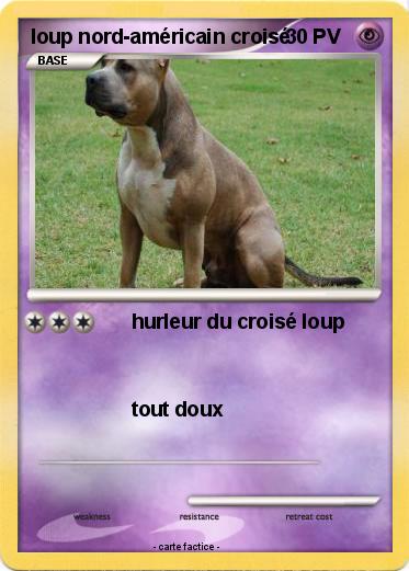Pokemon loup nord-américain croisé