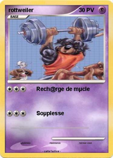 Pokemon rottweiler