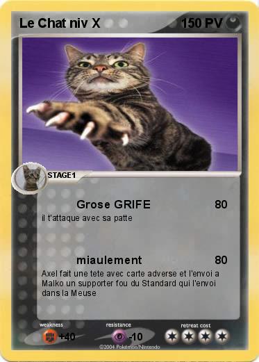 Pokemon Le Chat niv X
