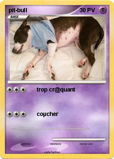 Pokemon pit-bull
