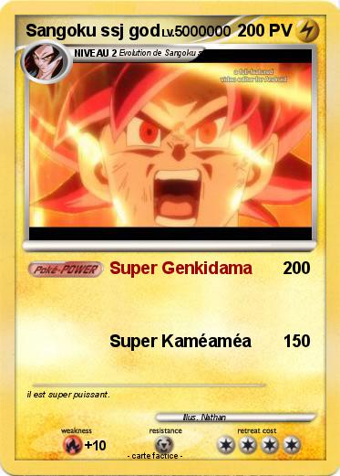 Pokemon Sangoku ssj god