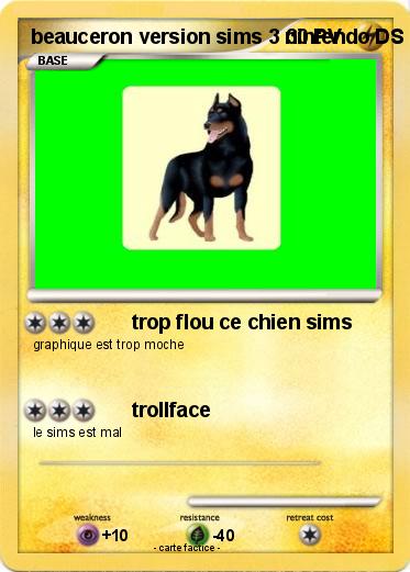 Pokemon beauceron version sims 3 nintendo DS