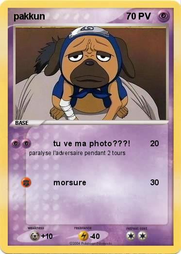 Pokemon pakkun