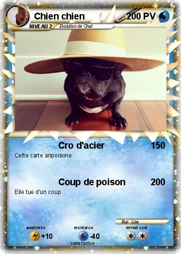 Pokemon Chien chien