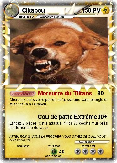 Pokemon Cikapou