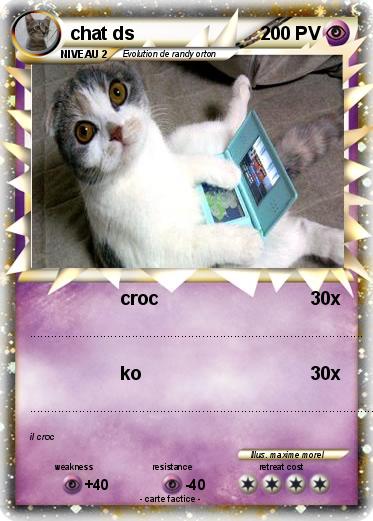 Pokemon chat ds