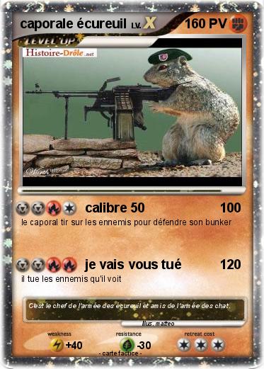 Pokemon caporale écureuil