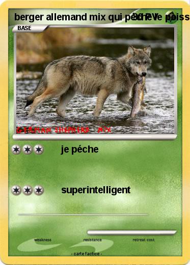Pokemon berger allemand mix qui péche le poisson