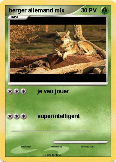 Pokemon berger allemand mix