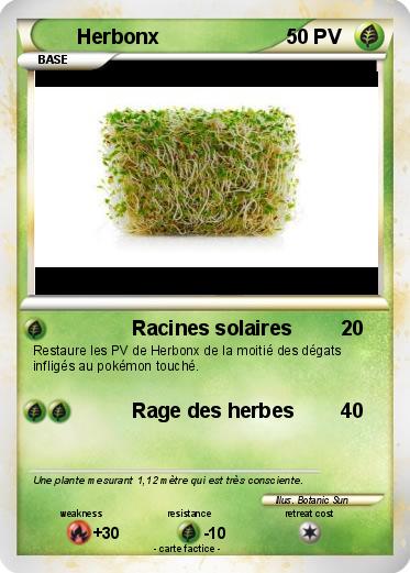 Pokemon Herbonx