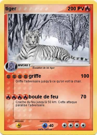 Pokemon tiger