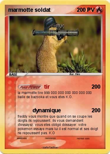 Pokemon marmotte soldat