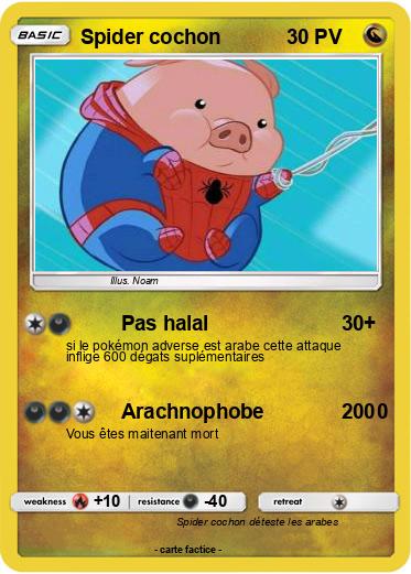 Pokemon Spider cochon