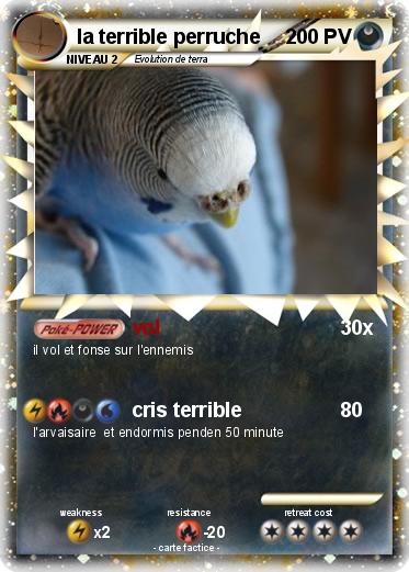 Pokemon la terrible perruche