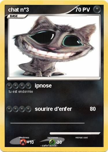 Pokemon chat n°3