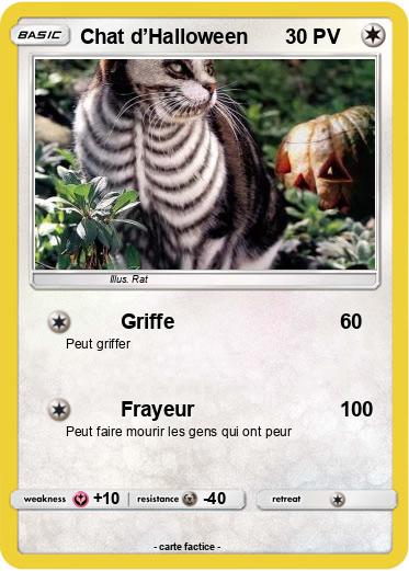 Pokemon Chat d’Halloween