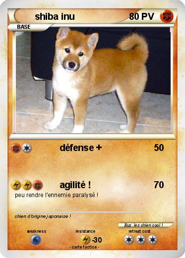 Pokemon shiba inu