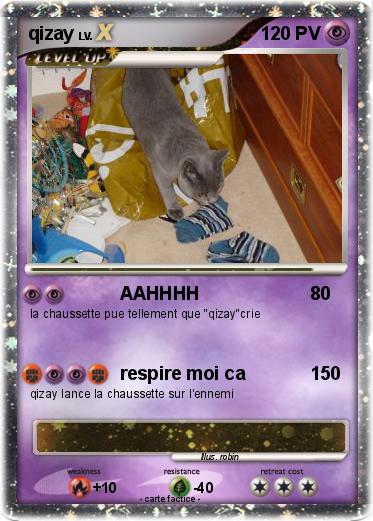 Pokemon qizay
