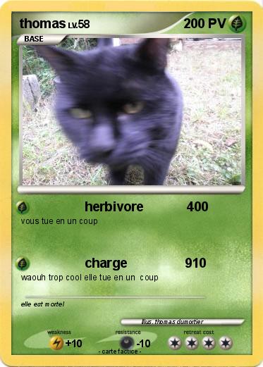 Pokemon thomas