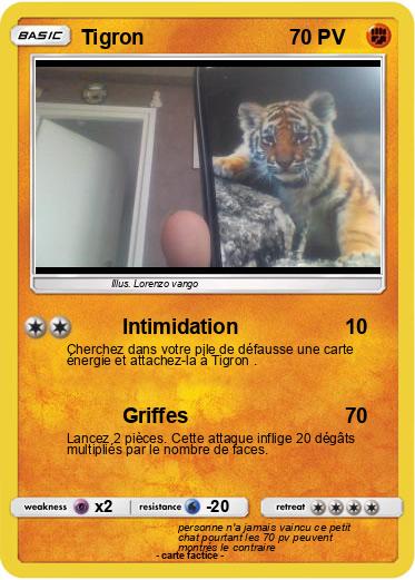 Pokemon Tigron