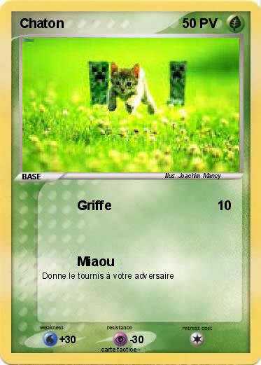 Pokemon Chaton