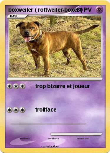 Pokemon boxweiler ( rottweiler-boxer )