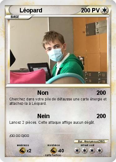 Pokemon Léopard