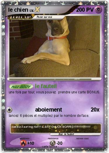 Pokemon le chien