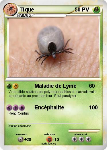 Pokemon Tique