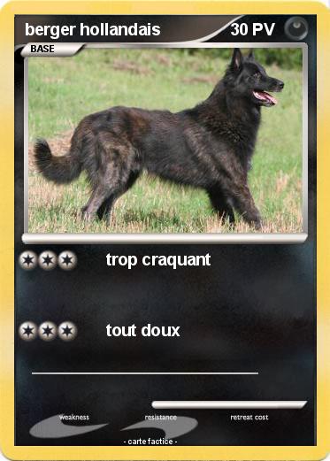 Pokemon berger hollandais