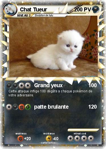 Pokemon Chat Tueur
