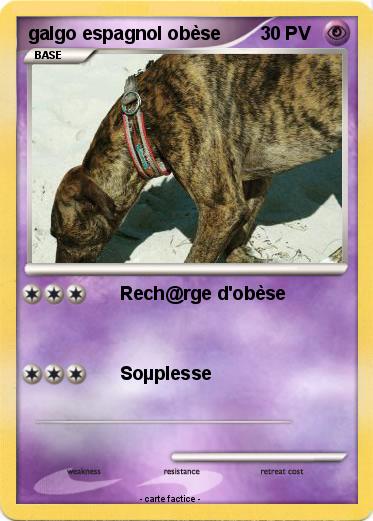 Pokemon galgo espagnol obèse